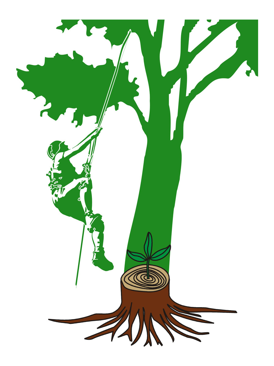 Baumexperten Veitengruber | Logo